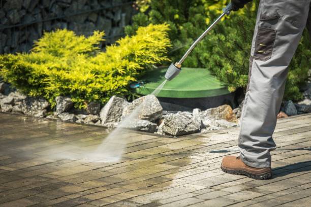 Best Gutter Cleaning  in Port Republic, NJ