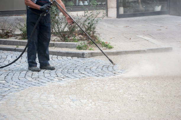 Best Patio and Deck Pressure Washing  in Port Republic, NJ